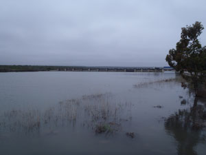 description
