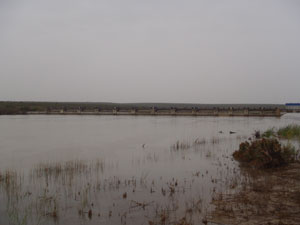 description