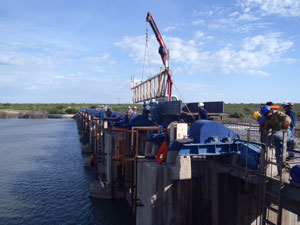 description