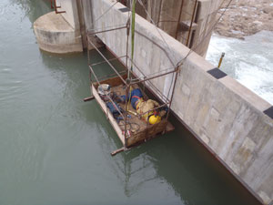 description