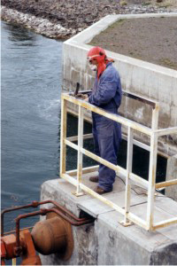 description